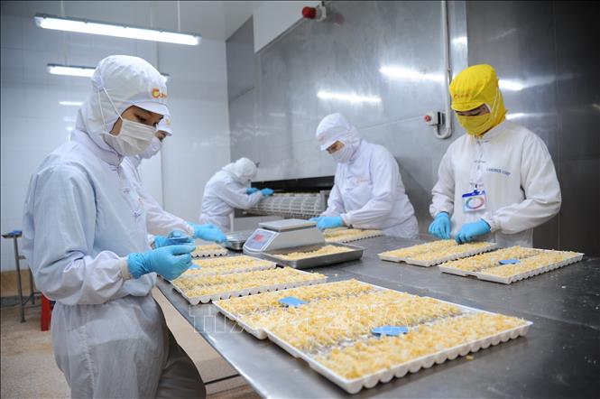 Aider les entreprises vietnamiennes à accéder au marché européen